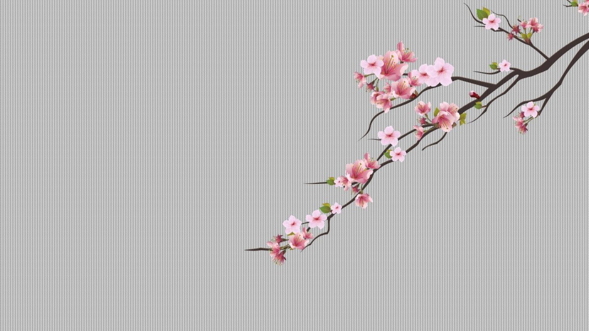 Какэмоно Сакура