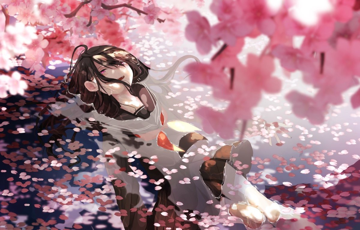 Вечноцветущая Сакура