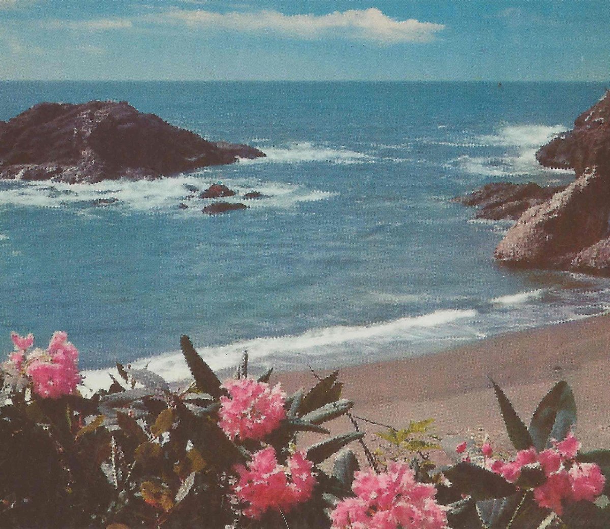 Море Эстетика