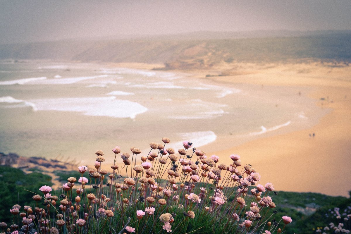 Нежное море