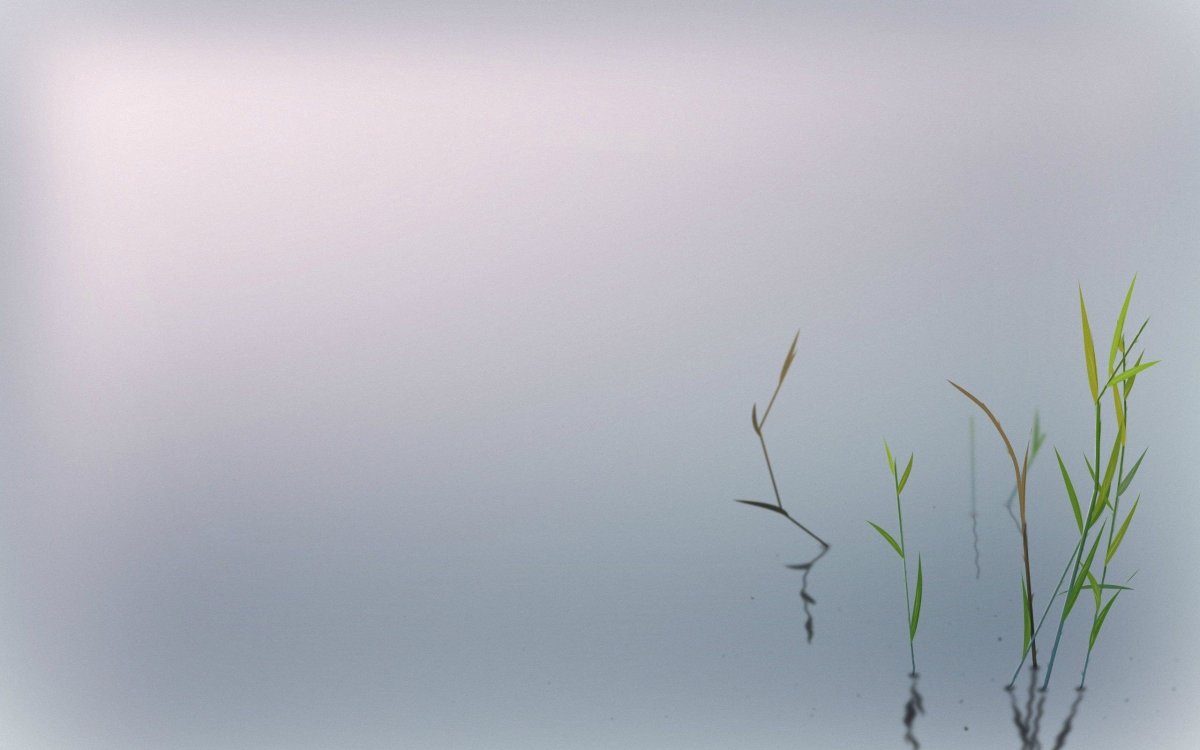 Спокойствие Минимализм