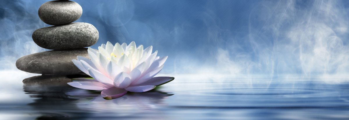 Великолепные дзен