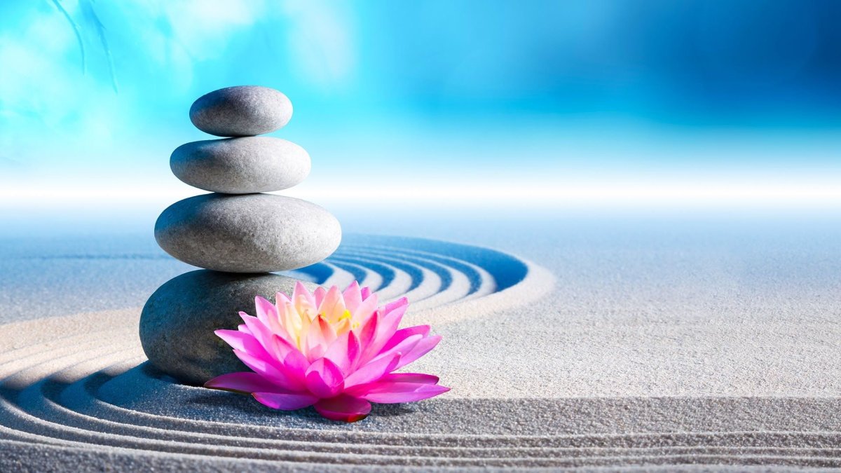 Душевного равновесия и гармонии