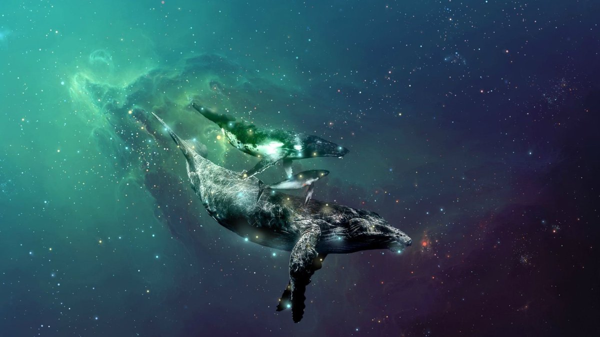 Космический кит