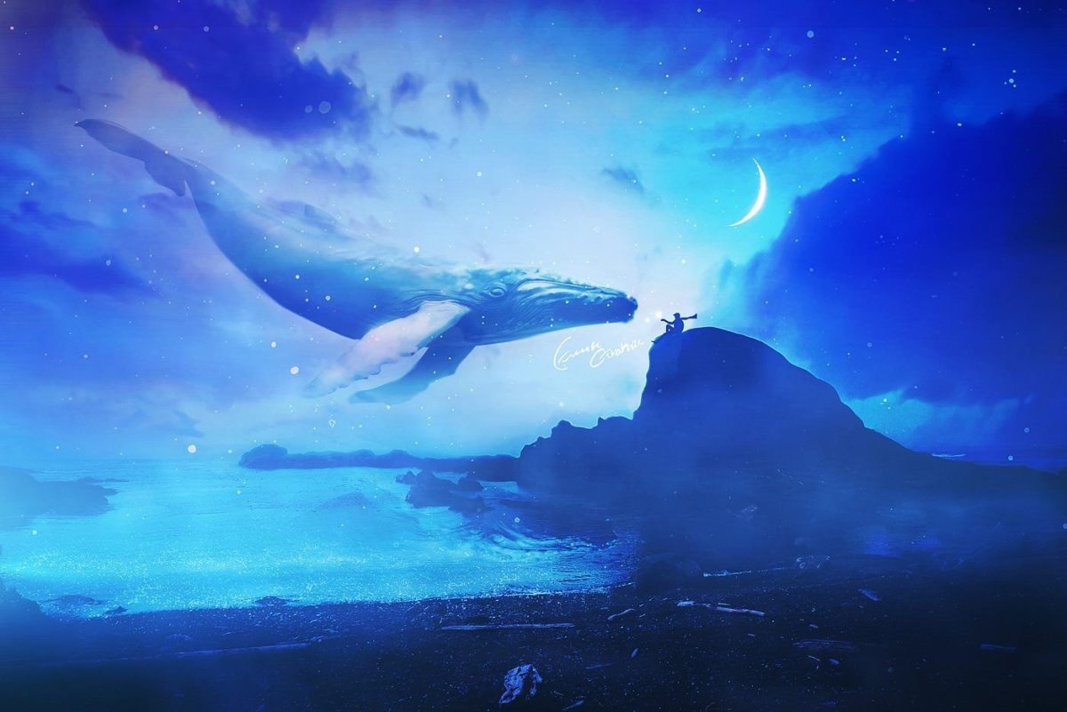 Киты в небе