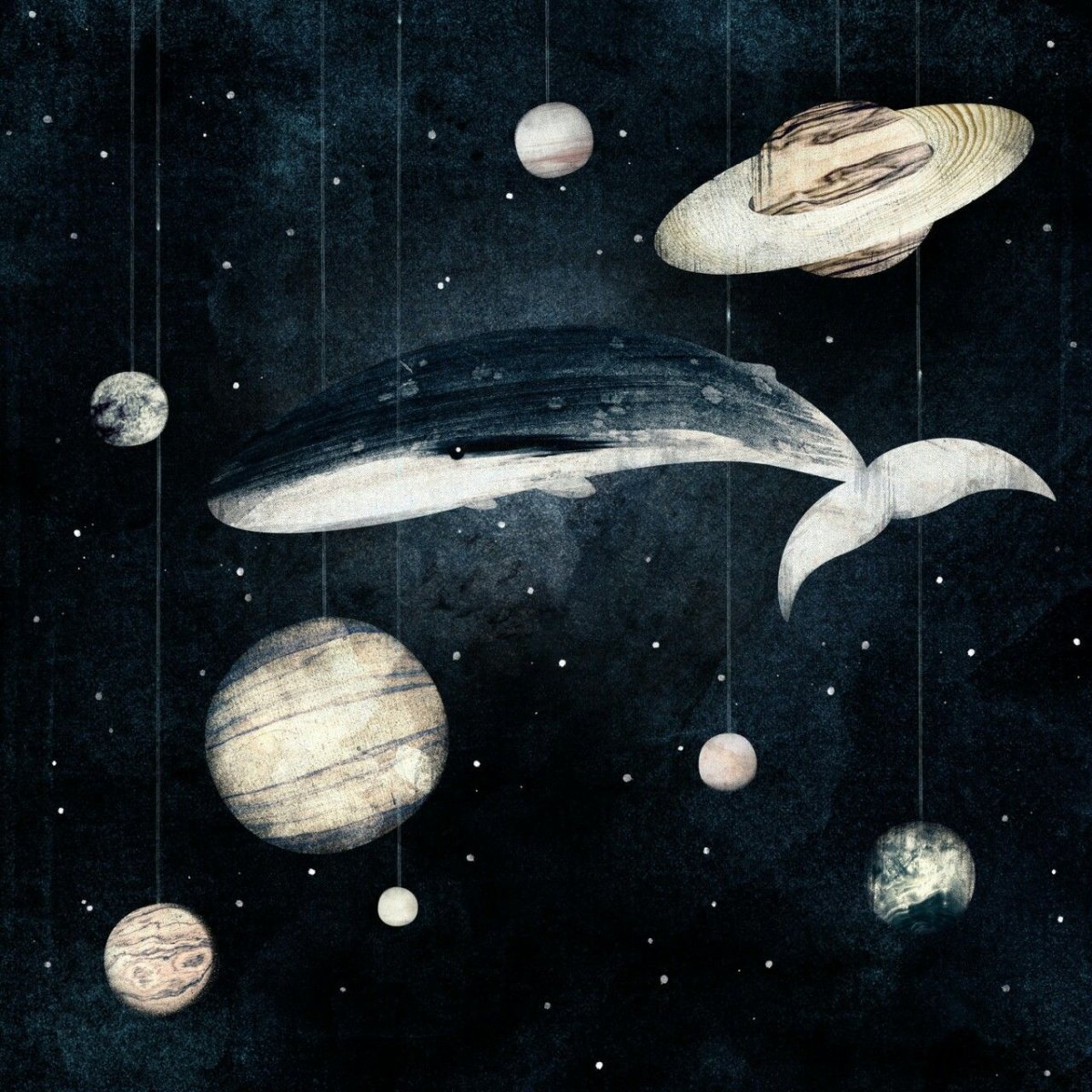 Космический кит