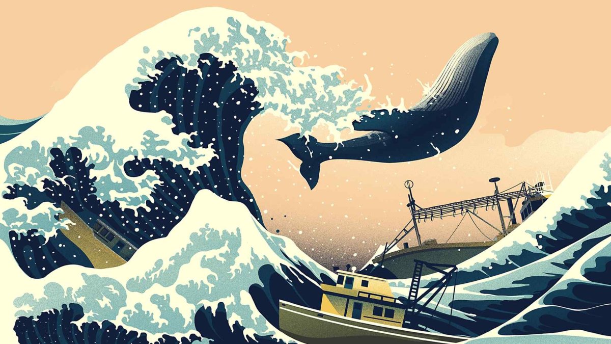 Обои аниме кит