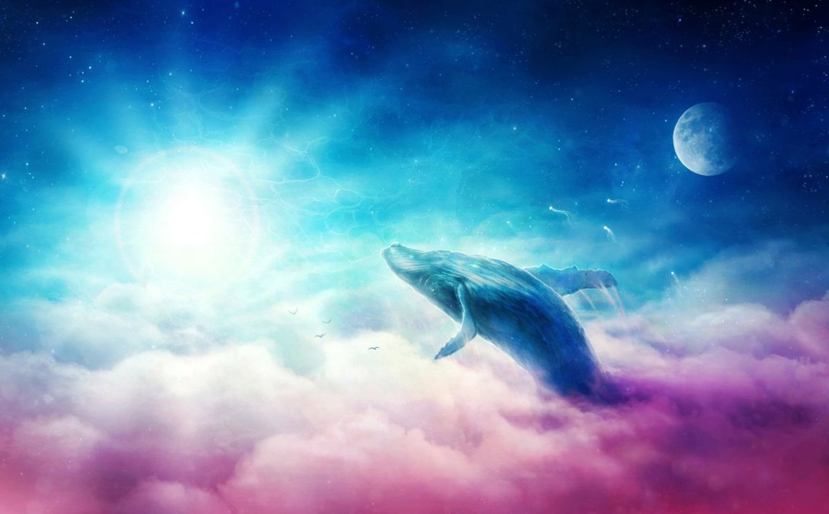 Кит в небе арт