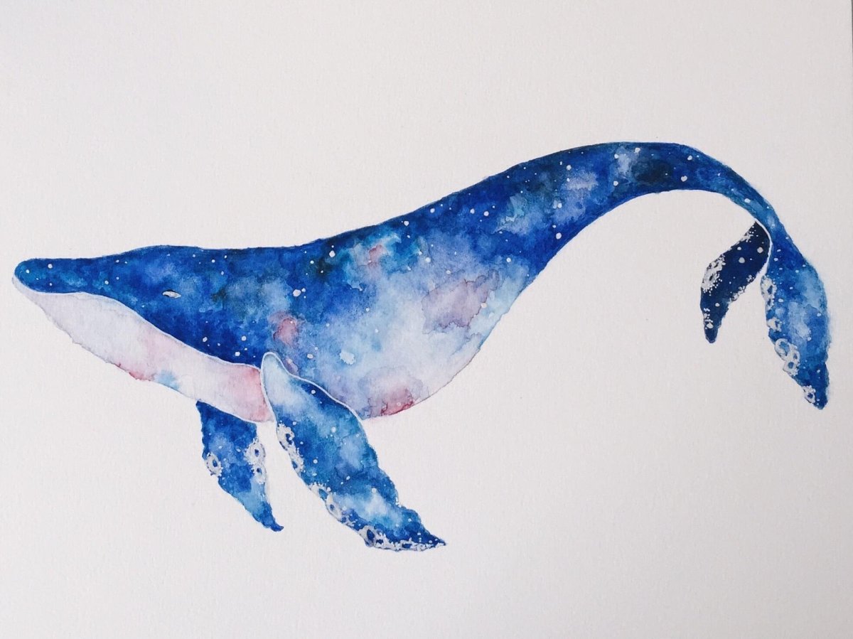 Акварельный кит