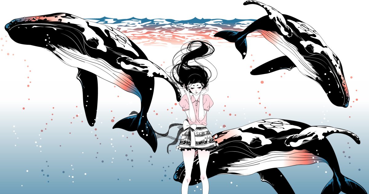 Касатка аниме