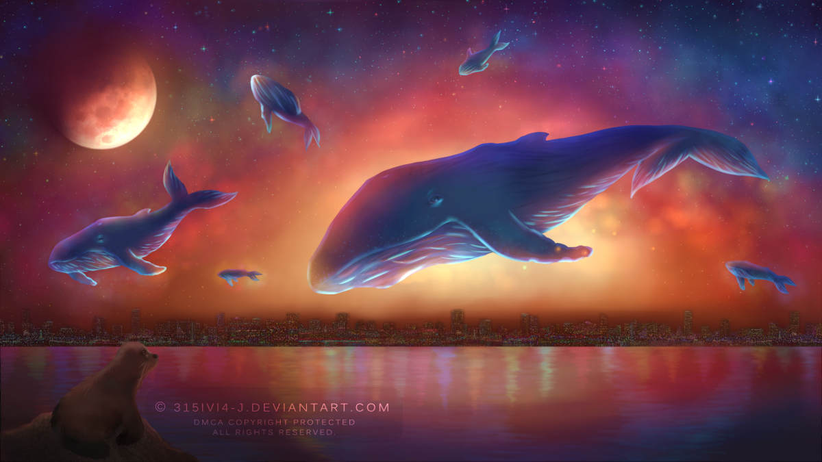 Летающий кит