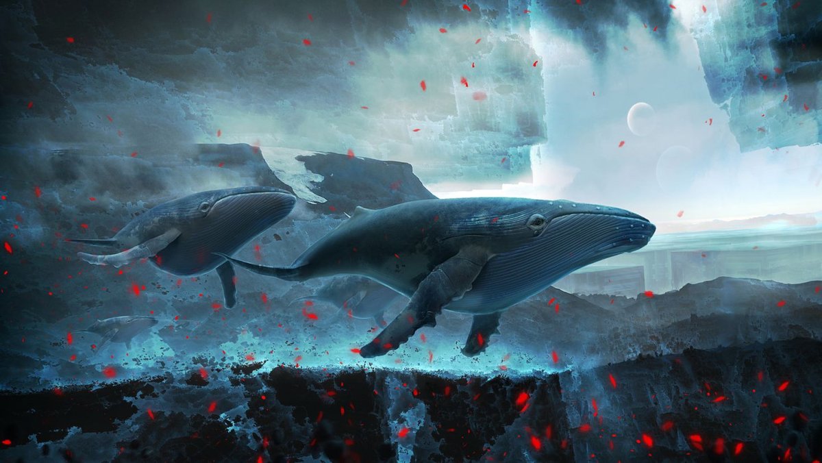 Летающий кит