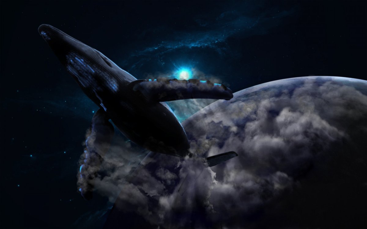 Киты на рабочий стол