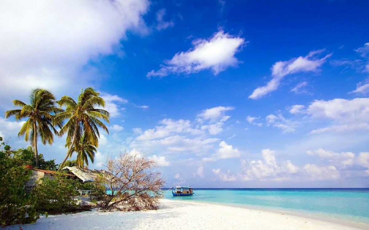 Остров Бали 1920 1080