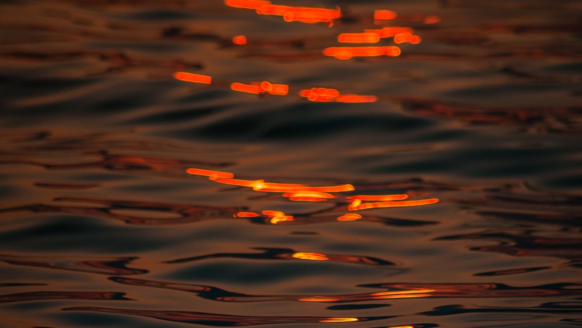 Блики солнца на воде