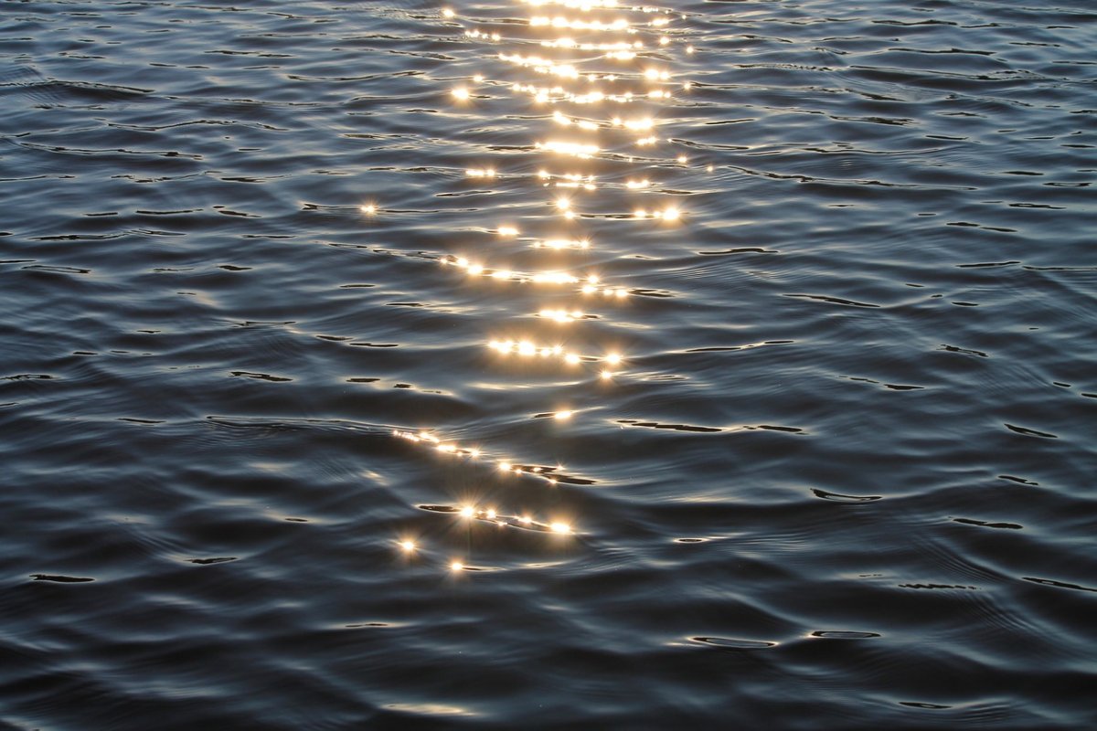 Солнечные блики на воде