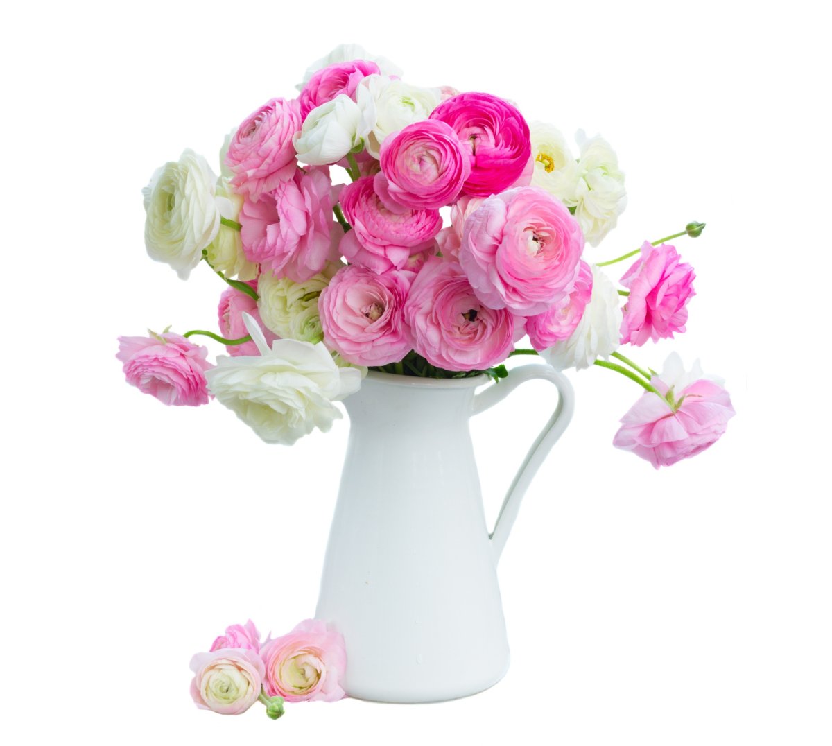 Букет в вазе на белом фоне