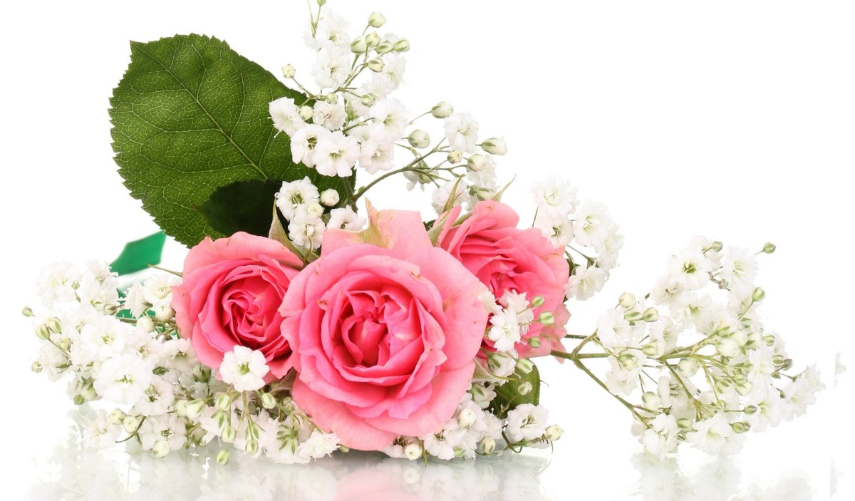 Открытка цветы