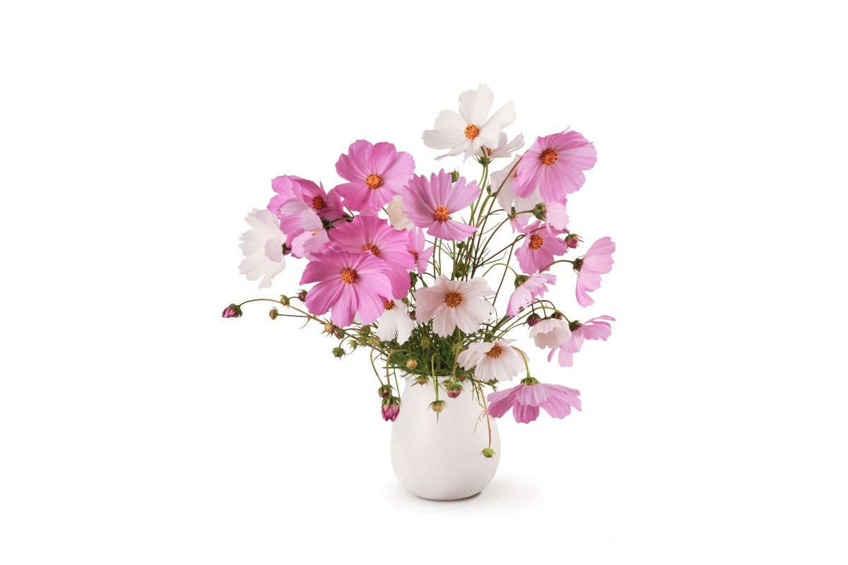 Цветы в вазе