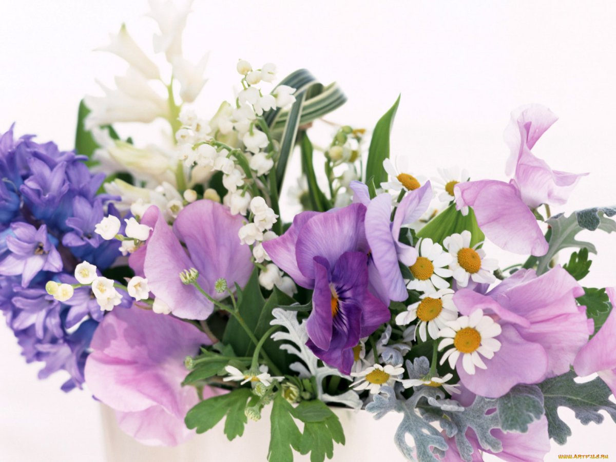 Букет "пионы и фрезии"