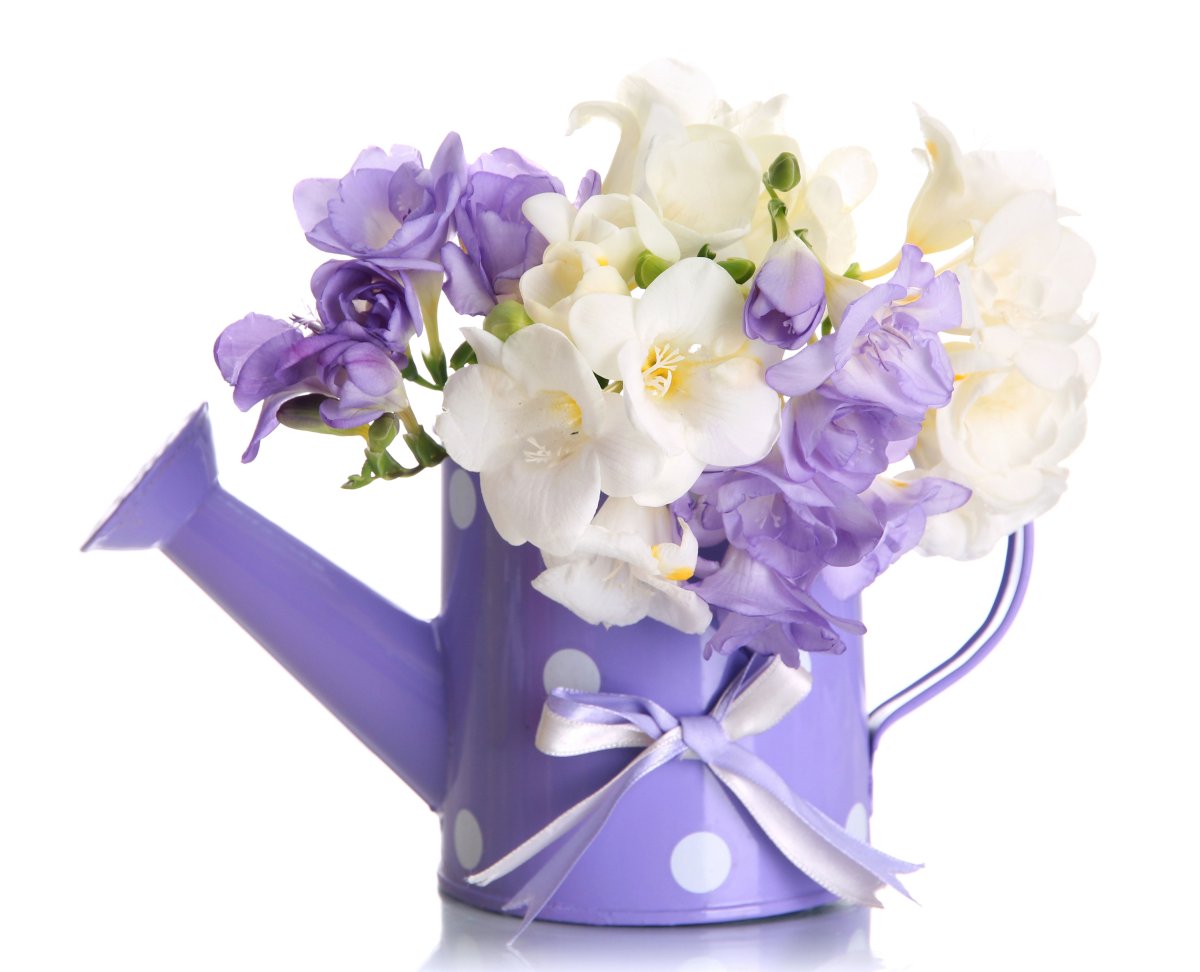 Красивый букет фон