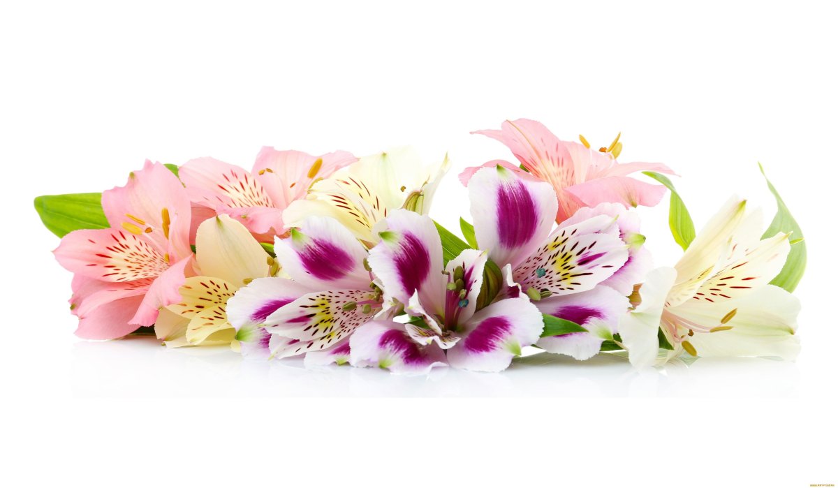 Красивый букет цветов