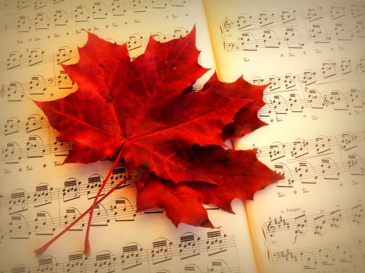 Музыкальный праздник осени