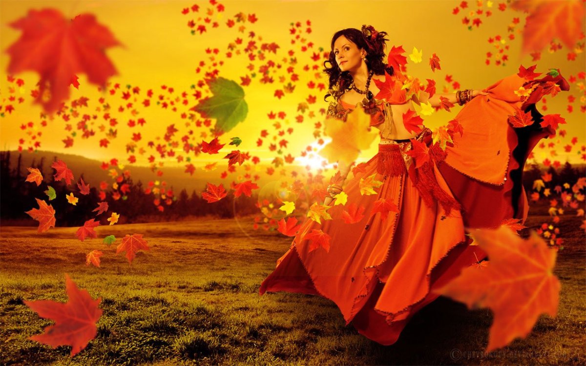 Музыкальная заставка