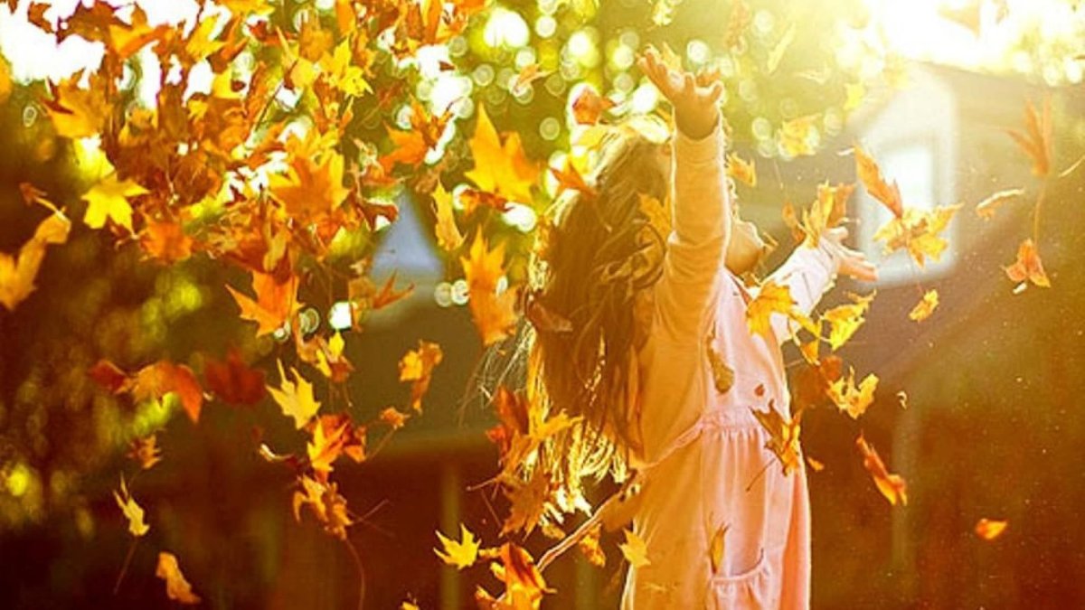 Музыкальные картинки