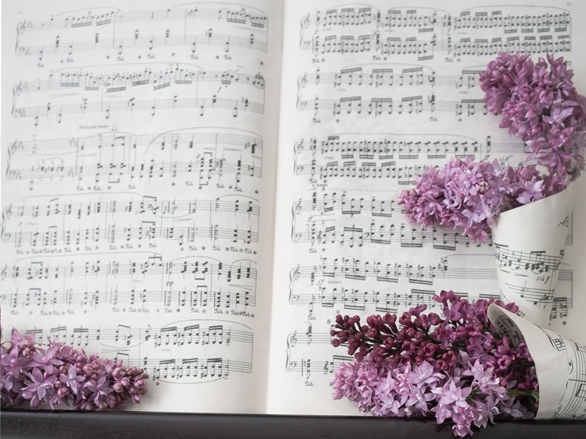 Ноты там где клен шумит для пианино