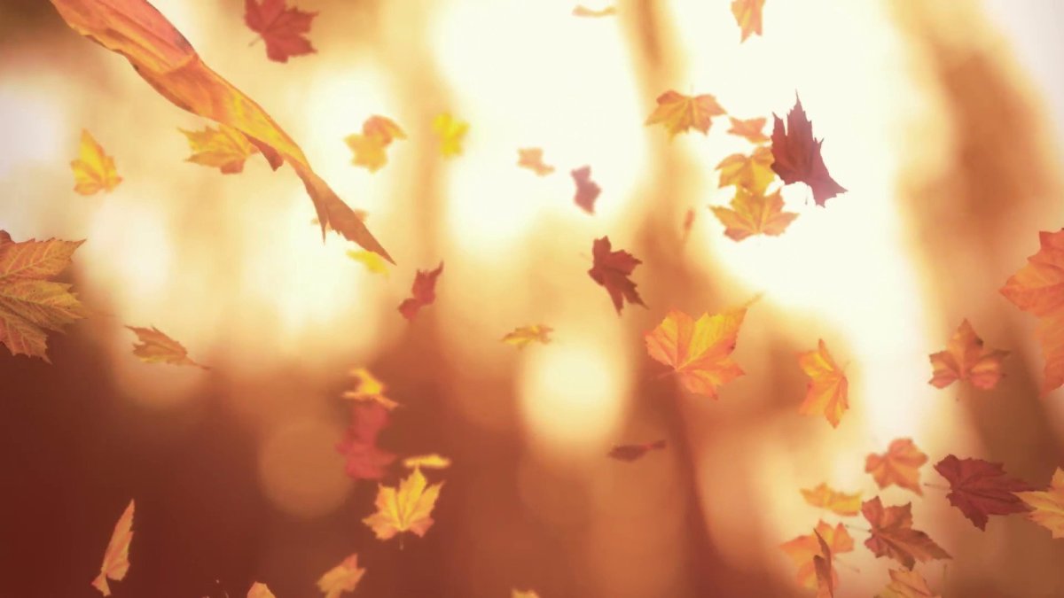 Фон для музыканта