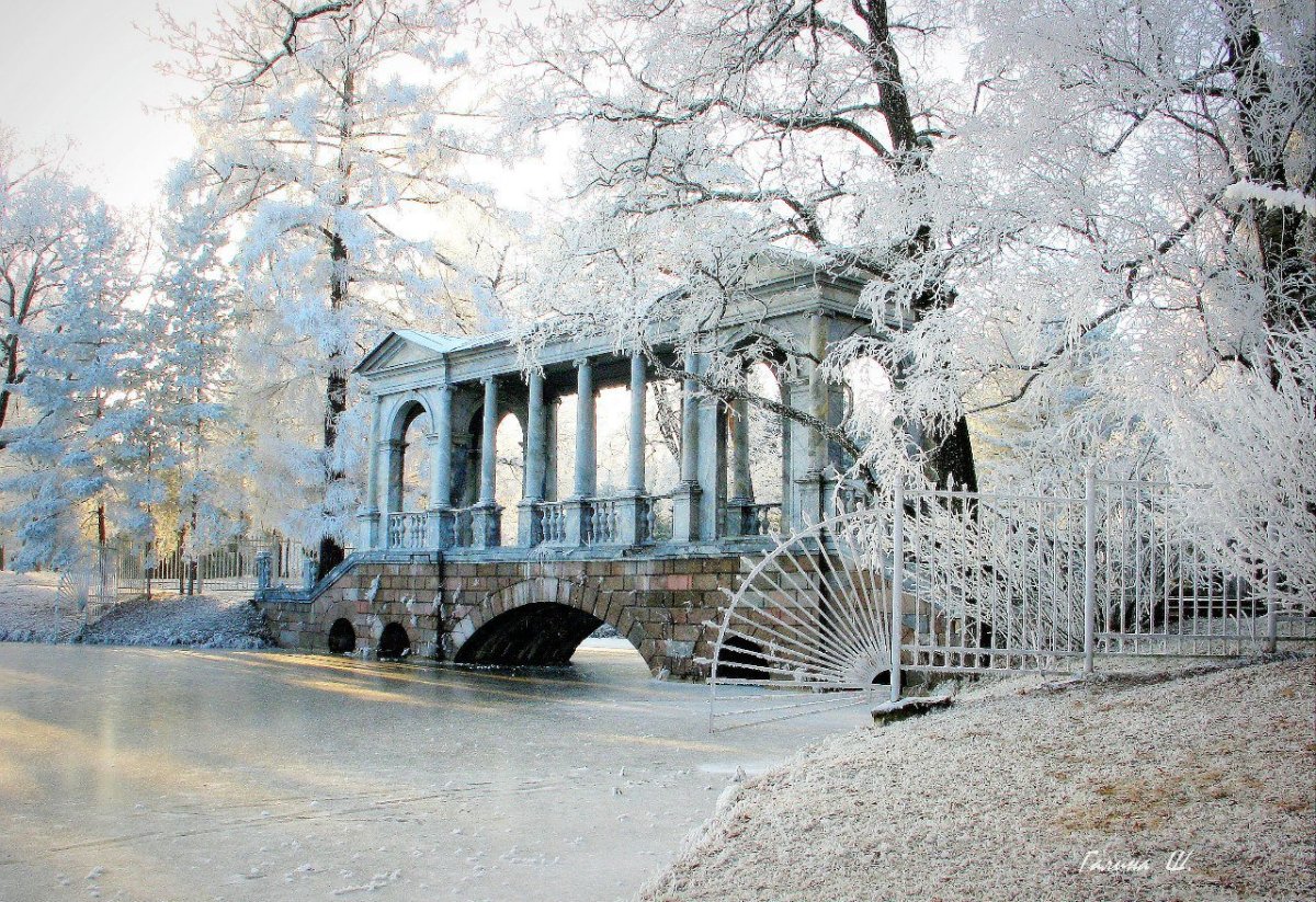 Натюрморт Пушкин