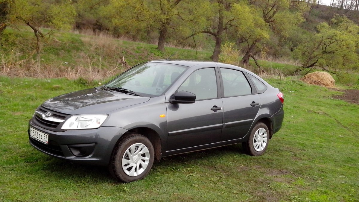 Цвет Борнео Гранта лифтбек 633