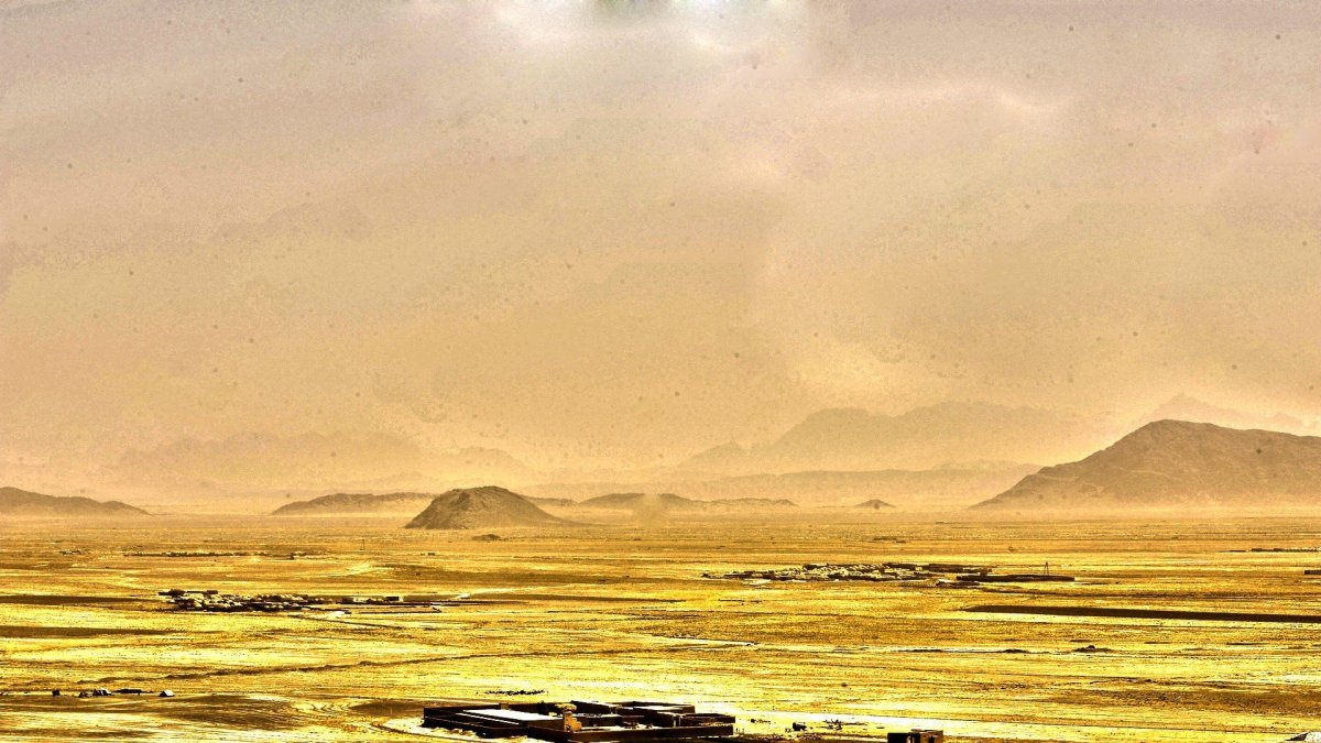 Маковые поля в Афганистане