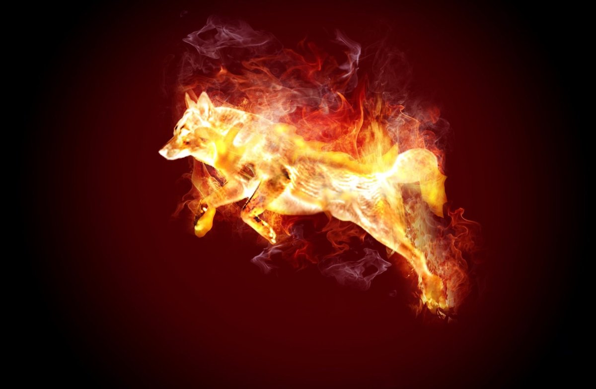 Огненный и водяной волк