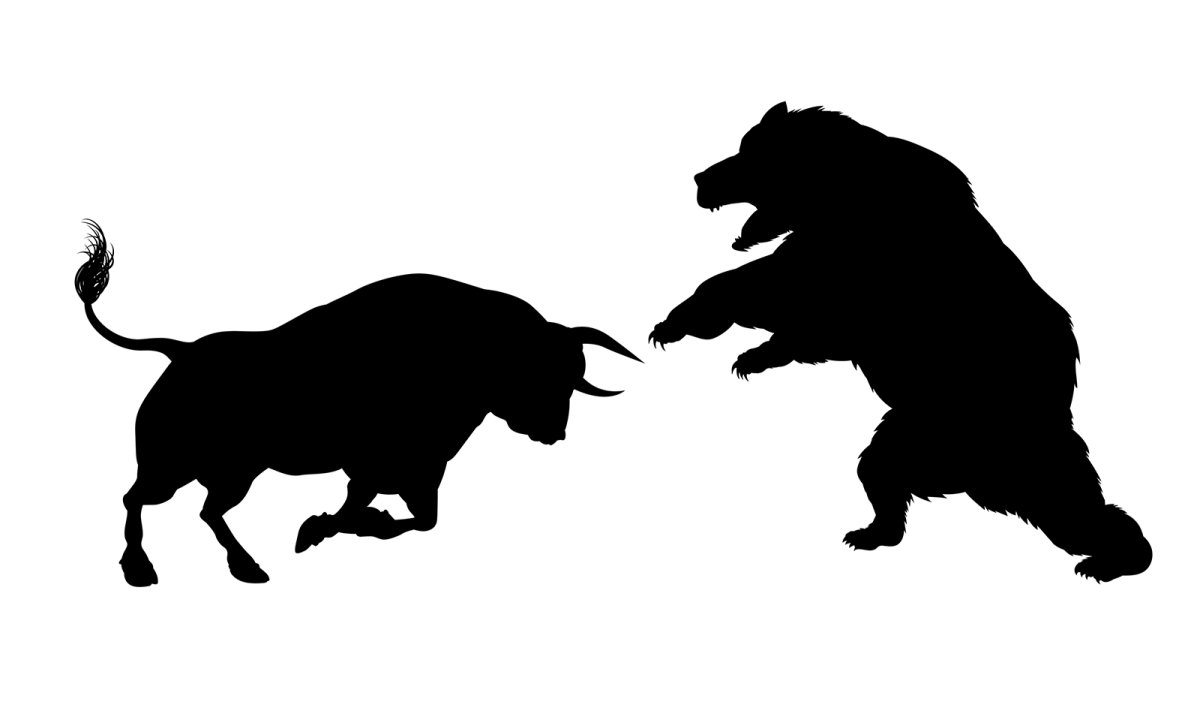 Медведь на задних лапах вектор