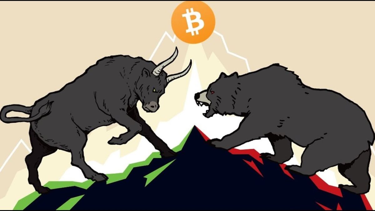 Борьба быка с медведем