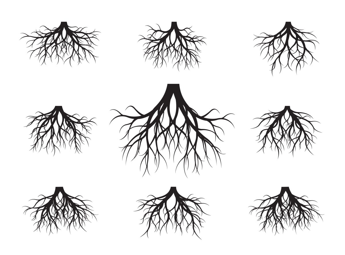 Текстура корней дерева