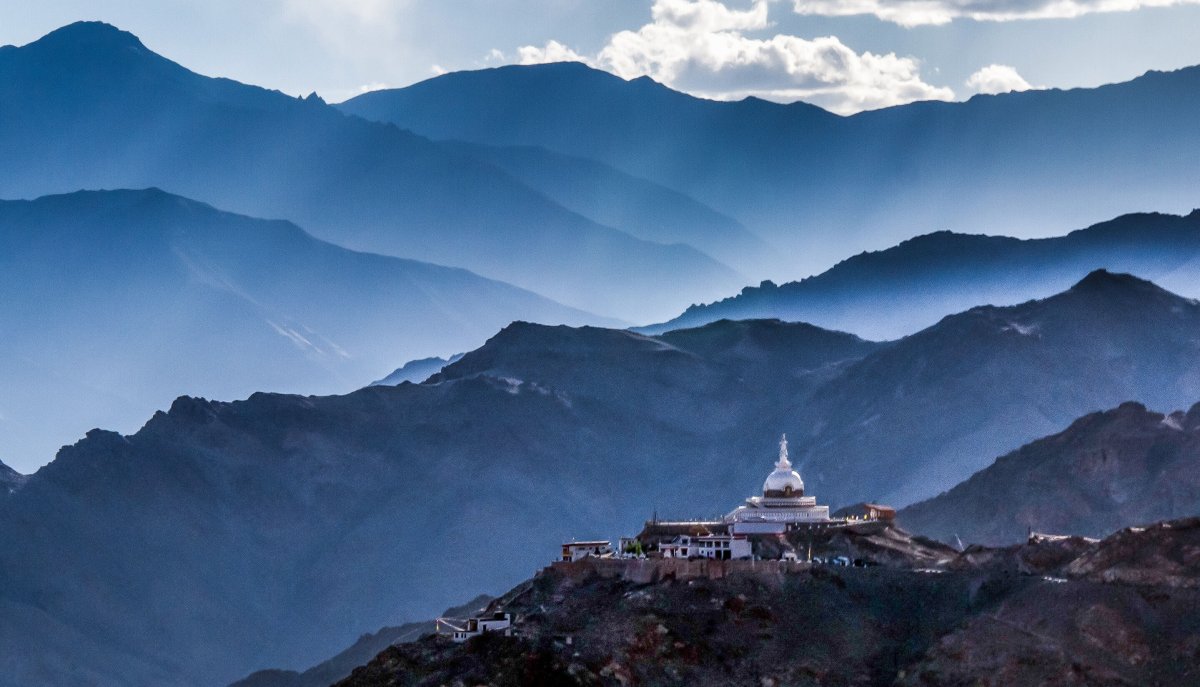 Рододендрон в горах Монти-Сибиллини