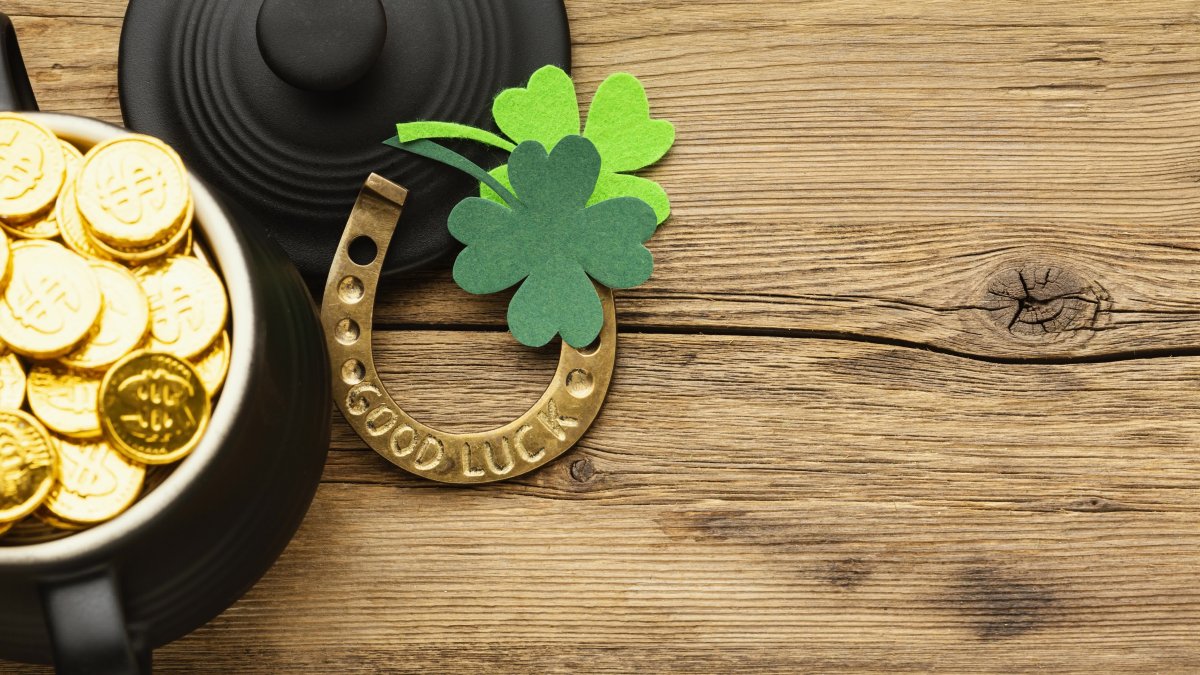 Бамбук и камни