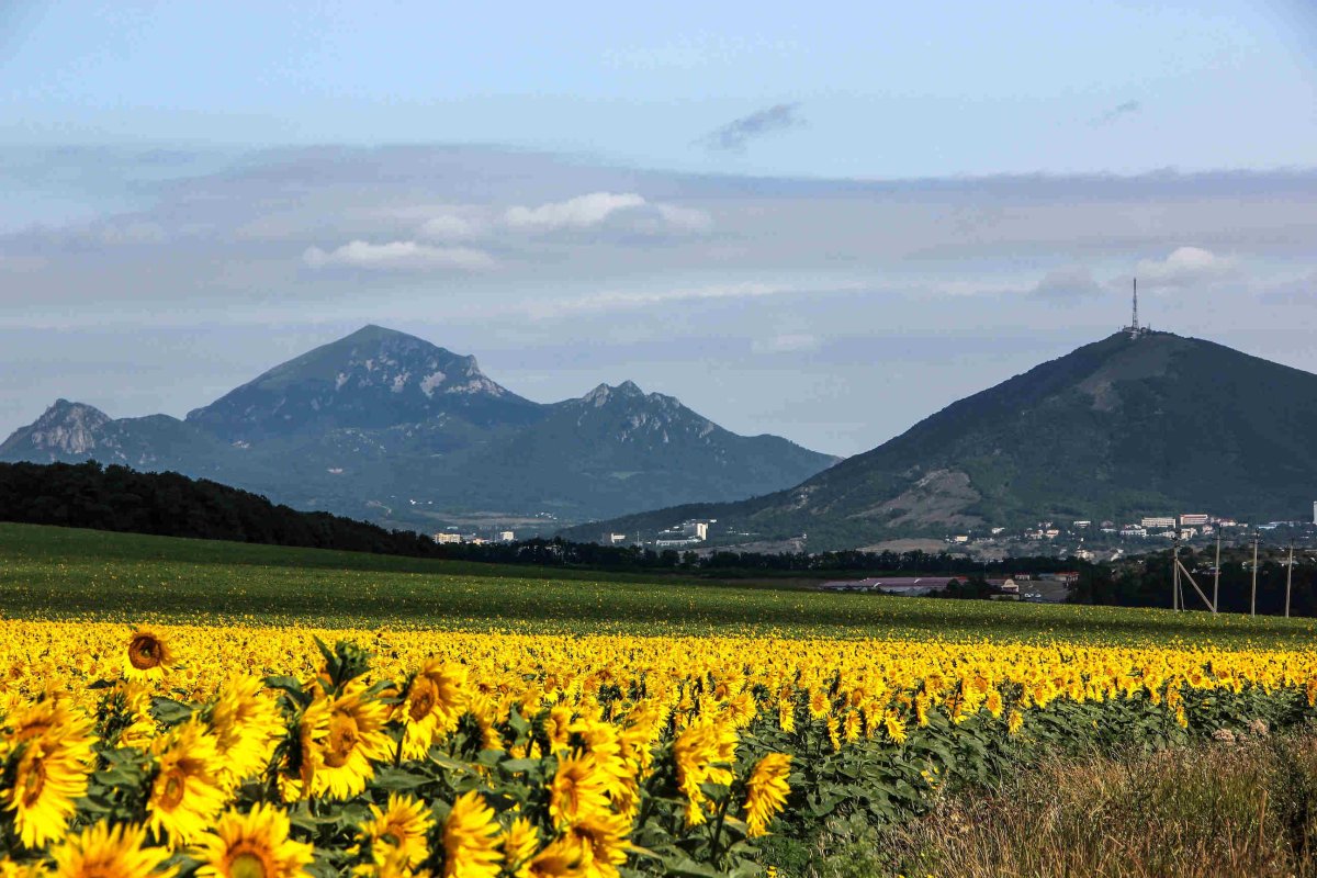 Бештау и Машук горы Пятигорск