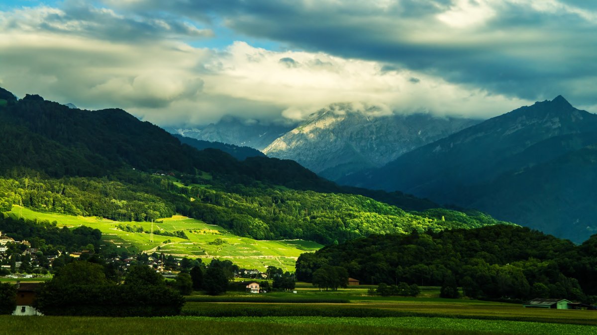 Грузия зеленые горы