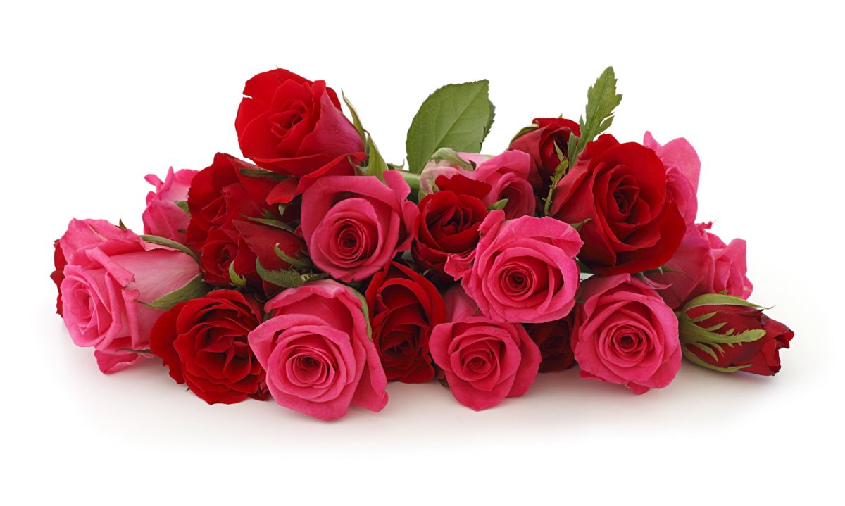 Открытка цветы