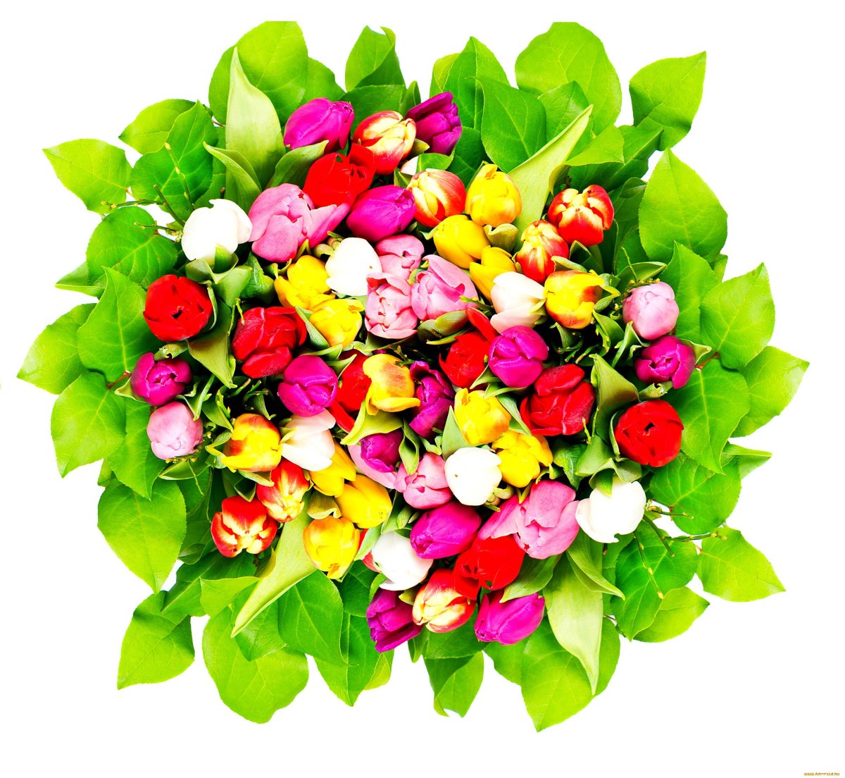 Букет цветов