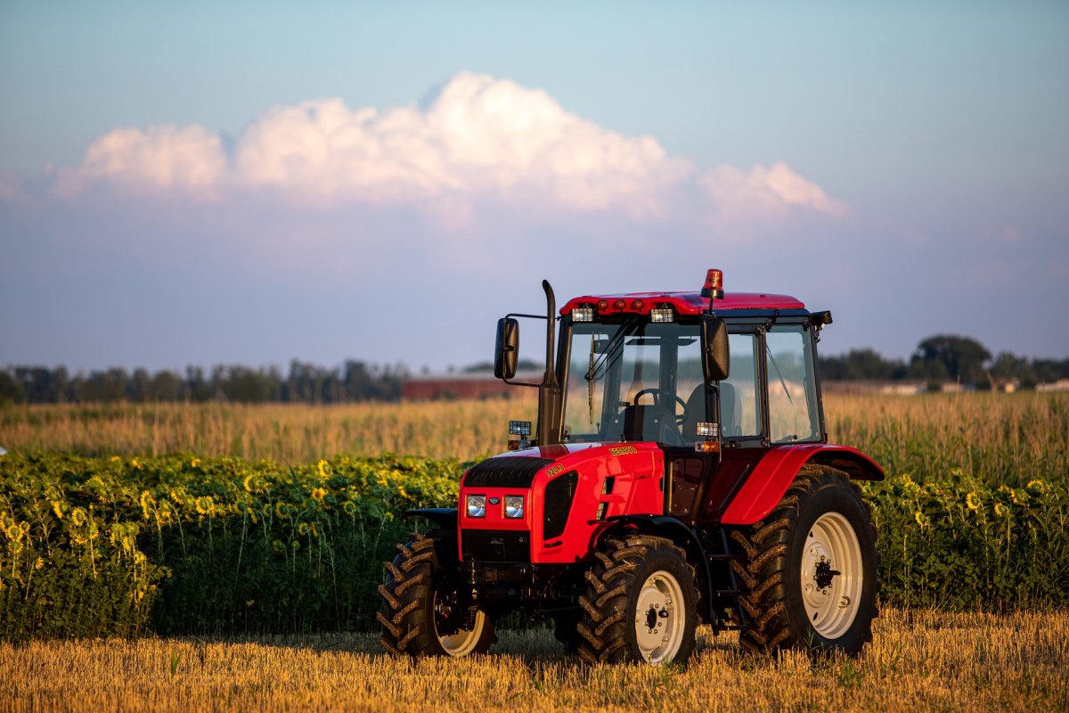 Трактор Беларус 2021