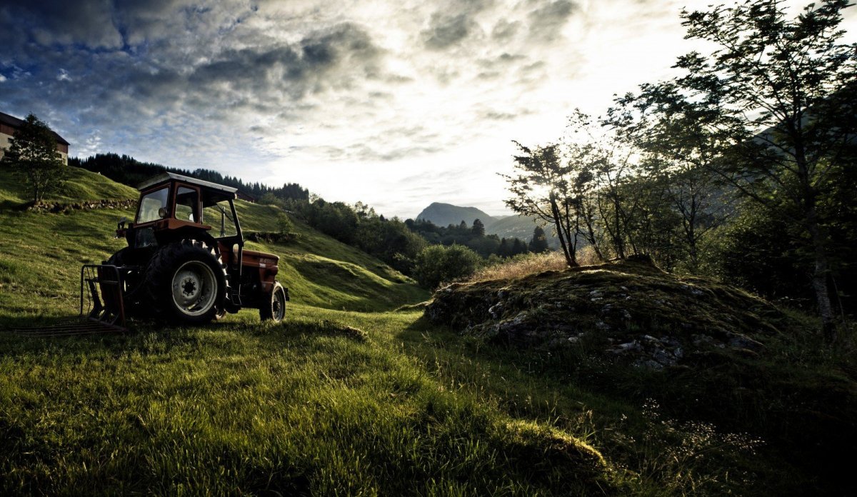 Трактор Мазелов