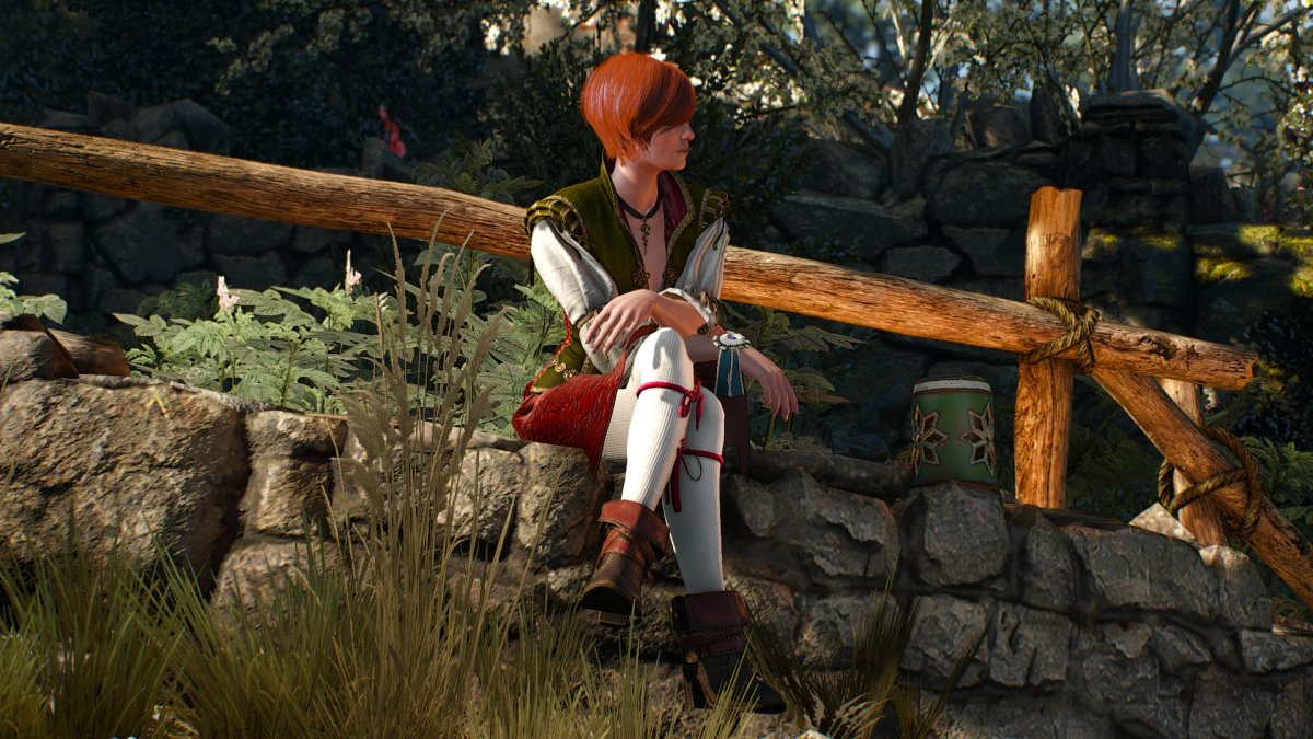 Лечебница Шани Ведьмак 3