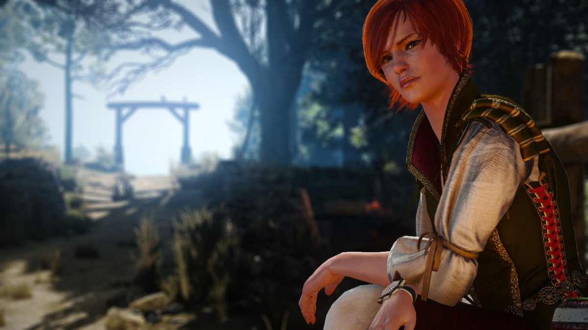 Шани Ведьмак 3 каменные сердца