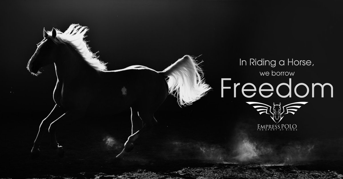 Черная лошадь Эстетика