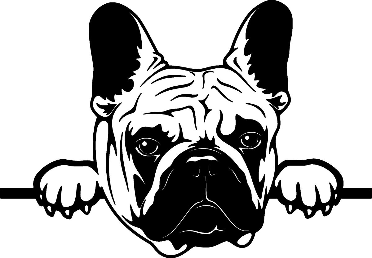 Французский бульдог вектор